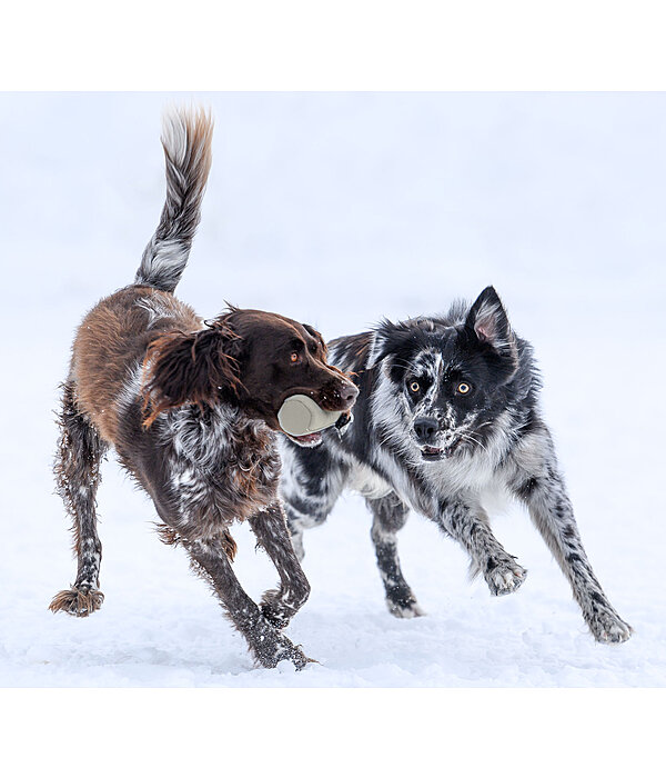 Trainingsdummy fr Hundes Nemo