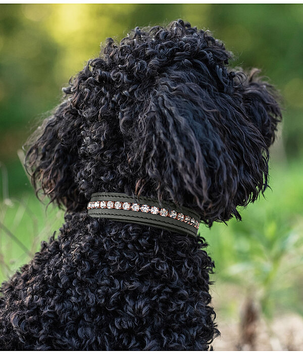 Leder-Hundehalsband Romy