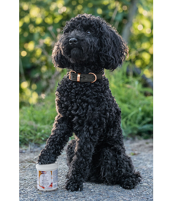 Pfotenschutz-Balsam Soft Velvet fr Hunde