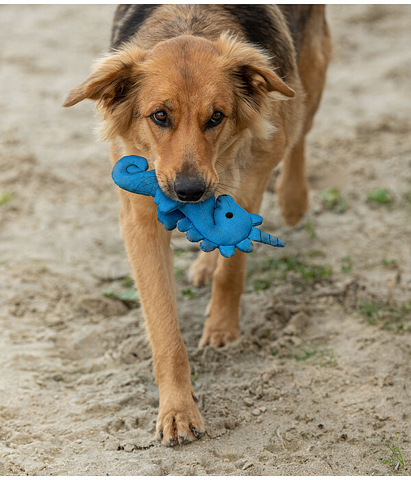 Hunde-Wasserspielzeug Aqua Unicorn