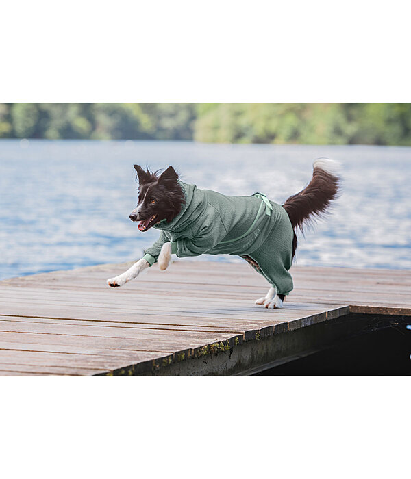 Hunde-Bademantel Allover Dry