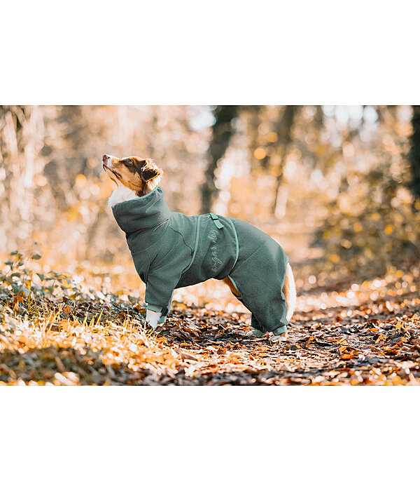 Hunde-Bademantel Allover Dry
