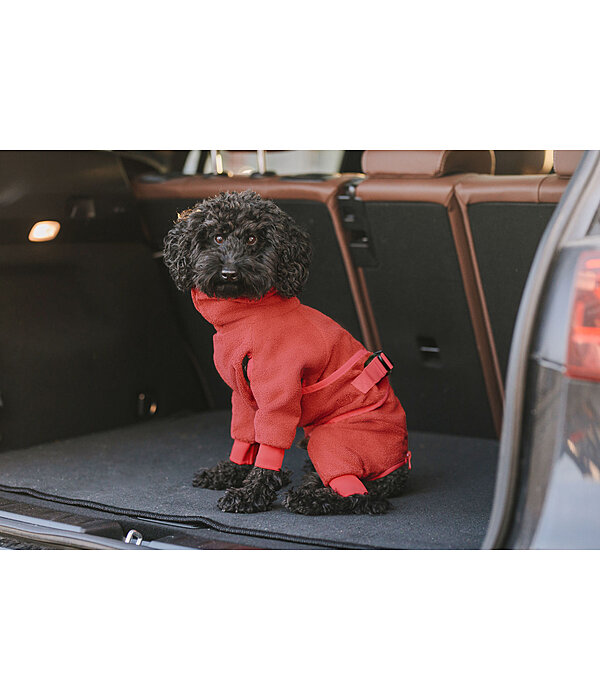 Hunde-Bademantel Allover Dry