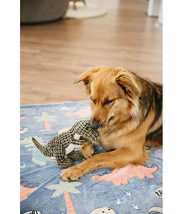 Hundespielzeug Kuschel-Dino Rexy