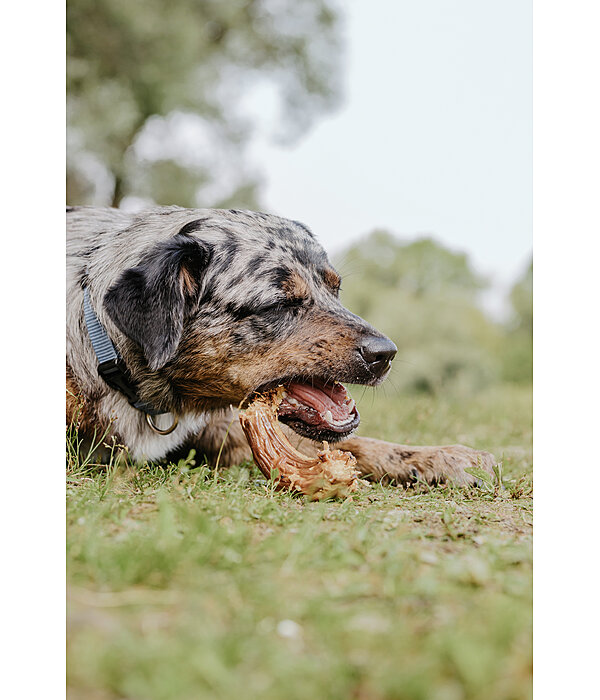 Putenhlse Hundesnack