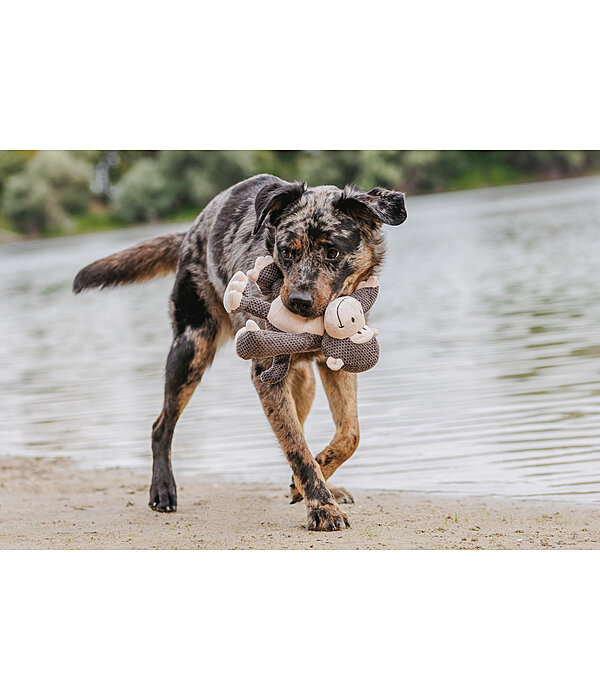 Hundespielzeug Kuschel-Affe Alfie