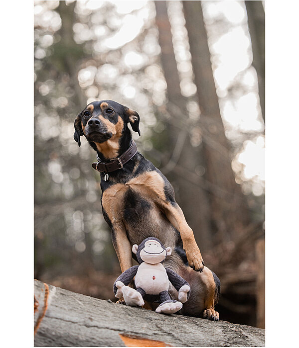 Hundespielzeug Kuschel-Affe Alfie