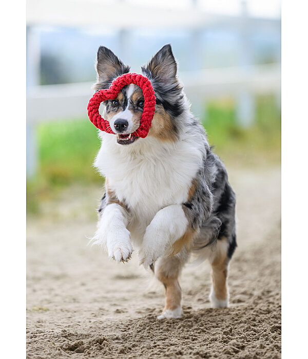 Tau-Spielzeug Valentine für Hunde