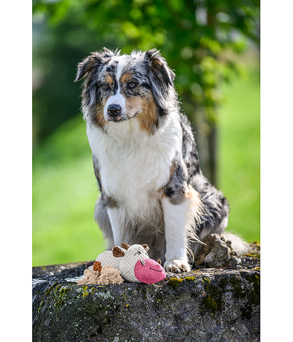 Hundespielzeug Kuschel-Kuh Zenzi