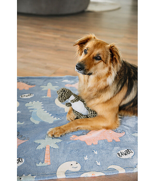 Hundedecke Glow in the Dark