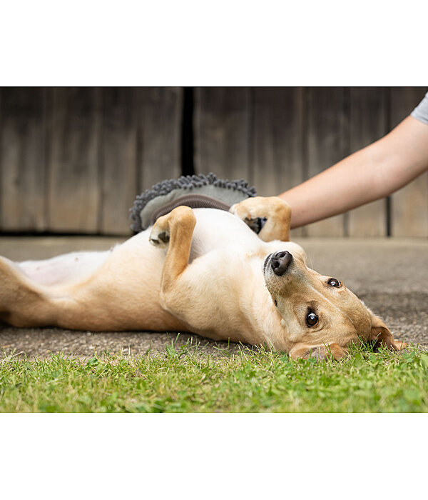 Handschuh-Striegel Cosma f�r Hunde