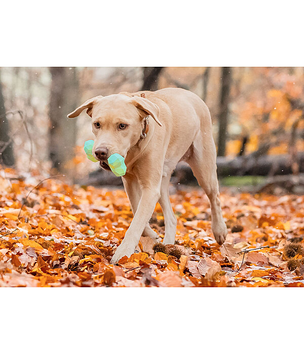 Wasserspielzeug Marble Bone  für Hunde