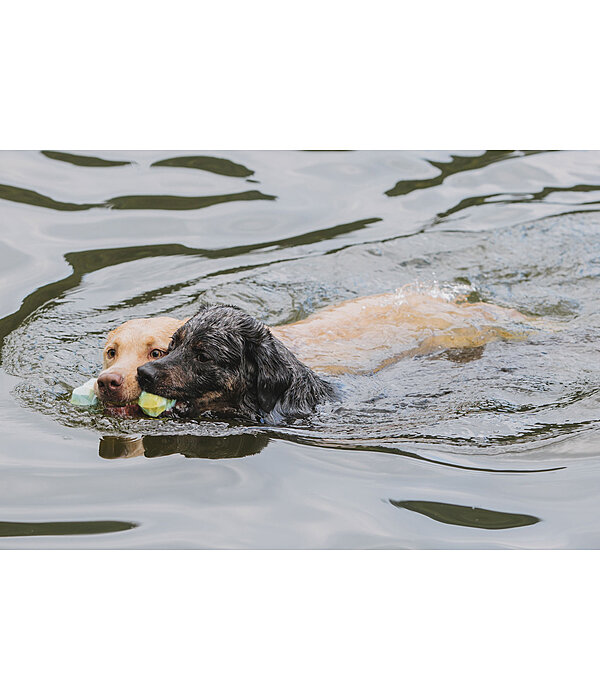 Wasserspielzeug Marble Bone  für Hunde