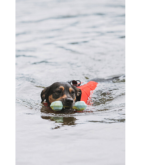 Wasserspielzeug Marble Bone  für Hunde