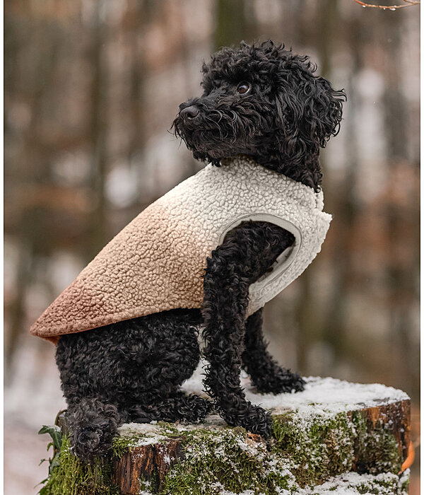 Softshell-Hunde-Wendeweste Willa, 80 g
