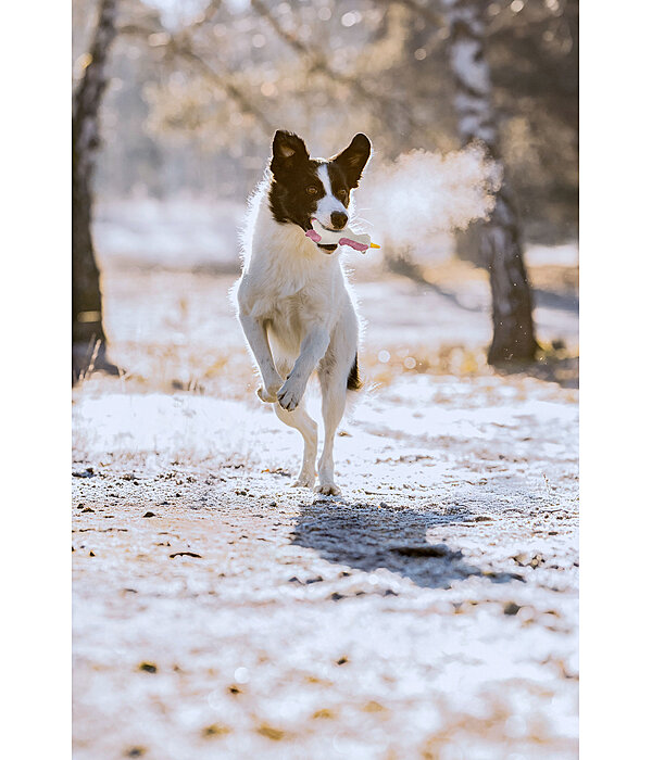 Quietsch-Spielzeug Unicorn fr Hunde