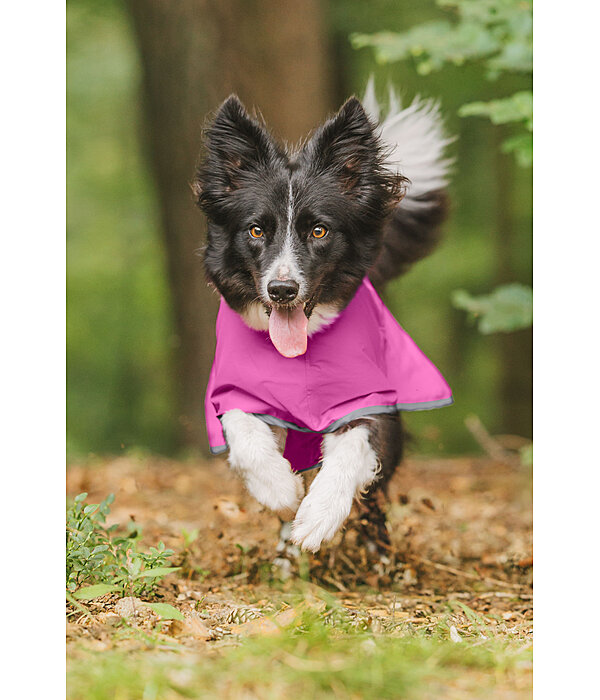 Hunde-Regenmantel Thousand Islands, 0 g
