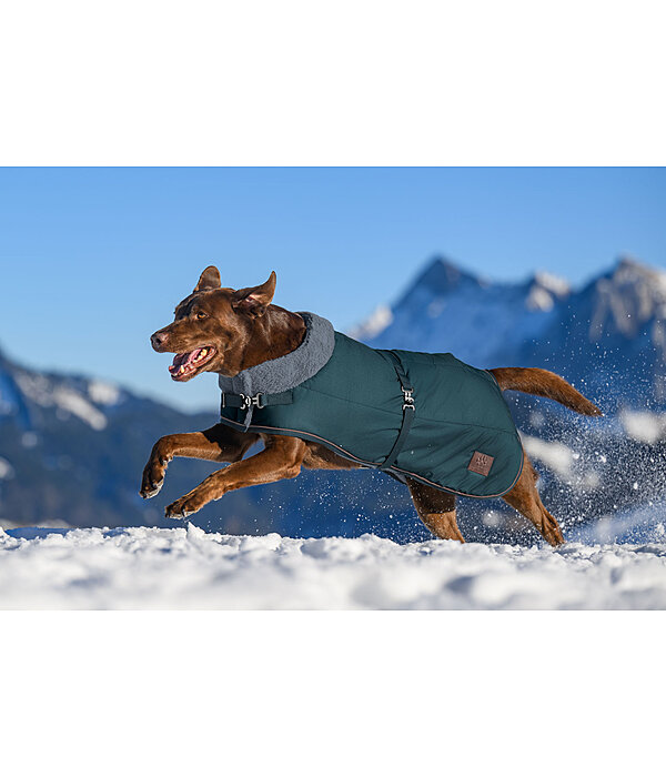 Winter-Hundemantel Gizmo mit Teddyfell-Innenfutter, 200 g