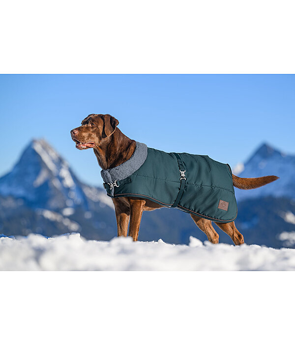 Winter-Hundemantel Gizmo mit Teddyfell-Innenfutter, 200 g