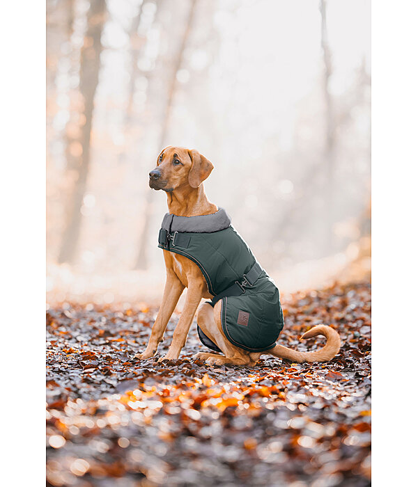 Winter-Hundemantel Gizmo mit Teddyfell-Innenfutter, 200 g