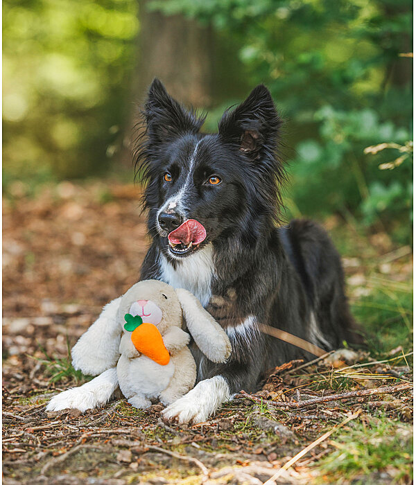 Plüschspielzeug Bunny für Hunde