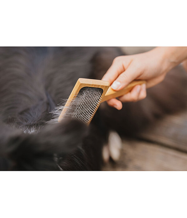 Hunde-Zupfb�rste Woody