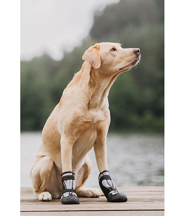 Pfotenschutz-Schuhe Dubai fr Hunde