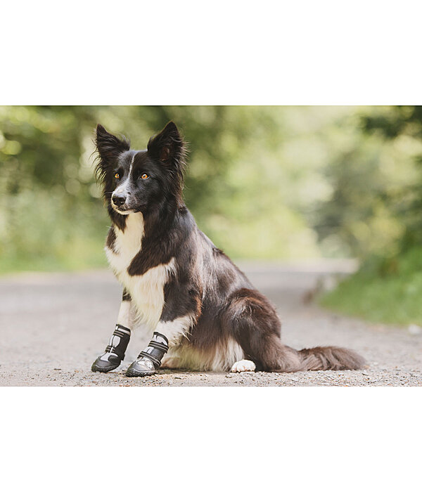 Pfotenschutz-Schuhe Dubai fr Hunde