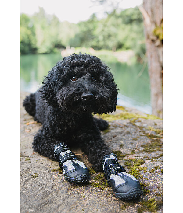 Pfotenschutz-Schuhe Dubai fr Hunde