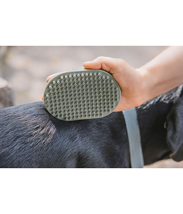 Hunde-Striegel Zeyna
