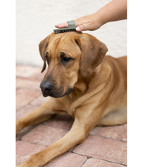 Hunde-Striegel Zeyna