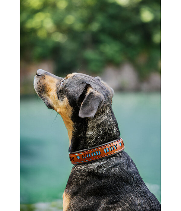 Leder-Hundehalsband Good Dog