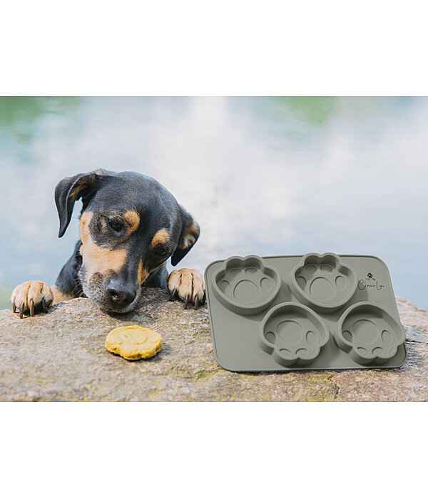 Hundekuchen-Silikon-Backform