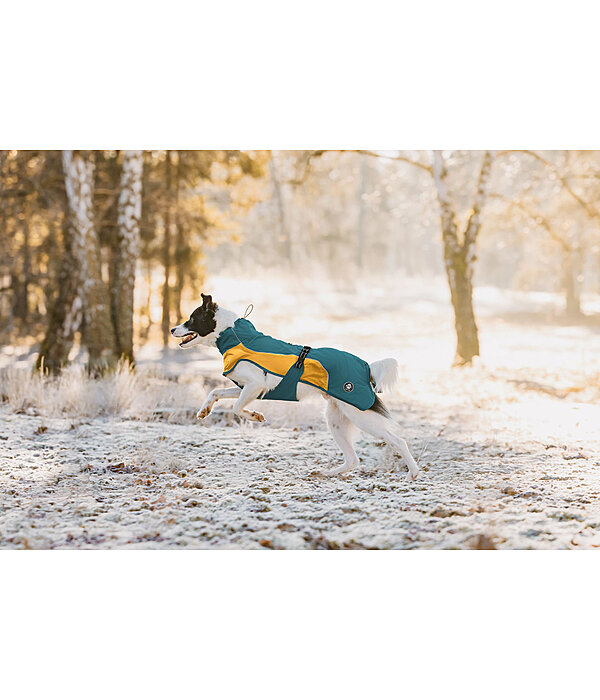 Lightweight Hunde-Regenmantel  Alma, 0 g