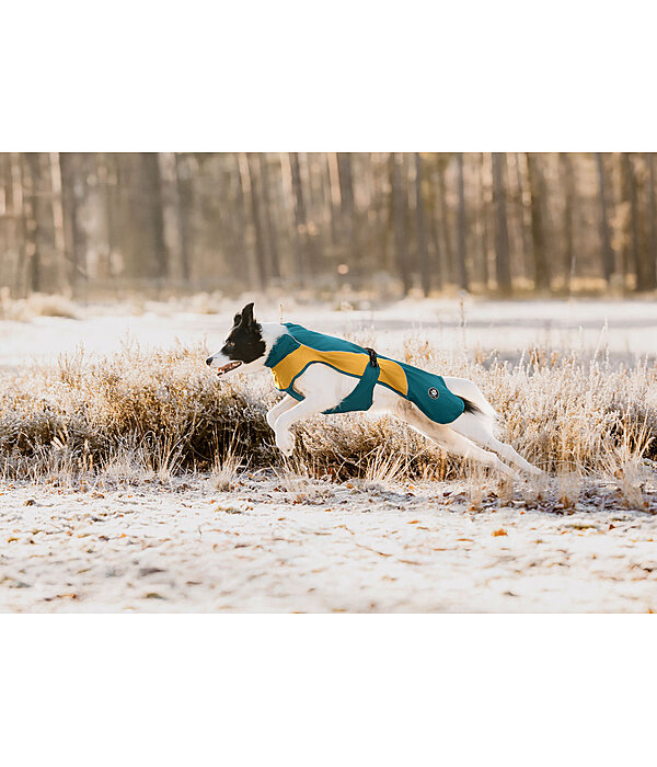 Lightweight Hunde-Regenmantel  Alma, 0 g
