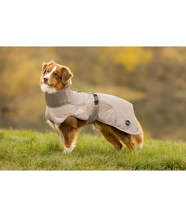 Lightweight Hunde-Regenmantel  Alma, 0 g