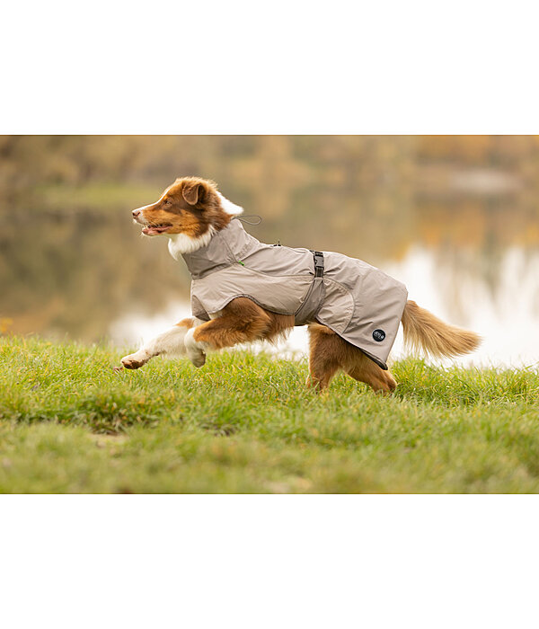 Lightweight Hunde-Regenmantel  Alma, 0 g