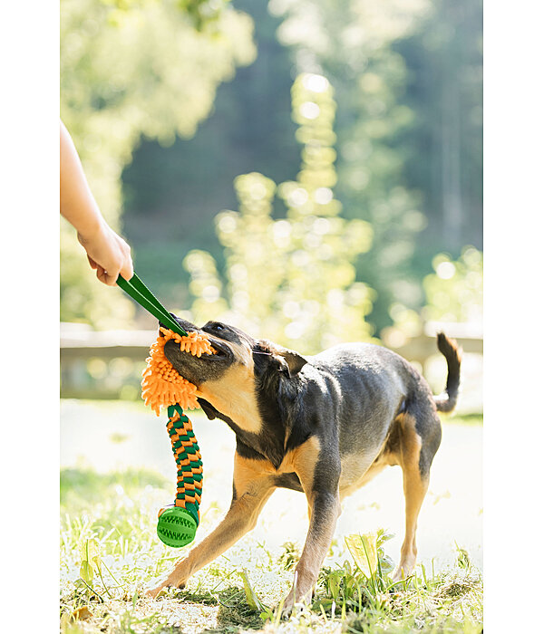 Hunde-Zerrspielzeug Agi