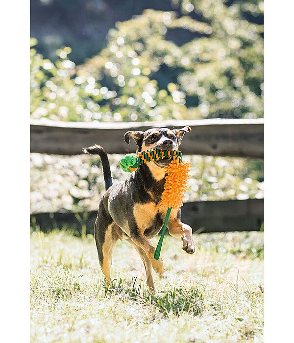 Hunde-Zerrspielzeug Agi
