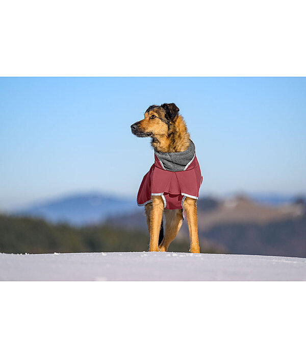 Softshell-Hundemantel mit Fleecekragen Frida