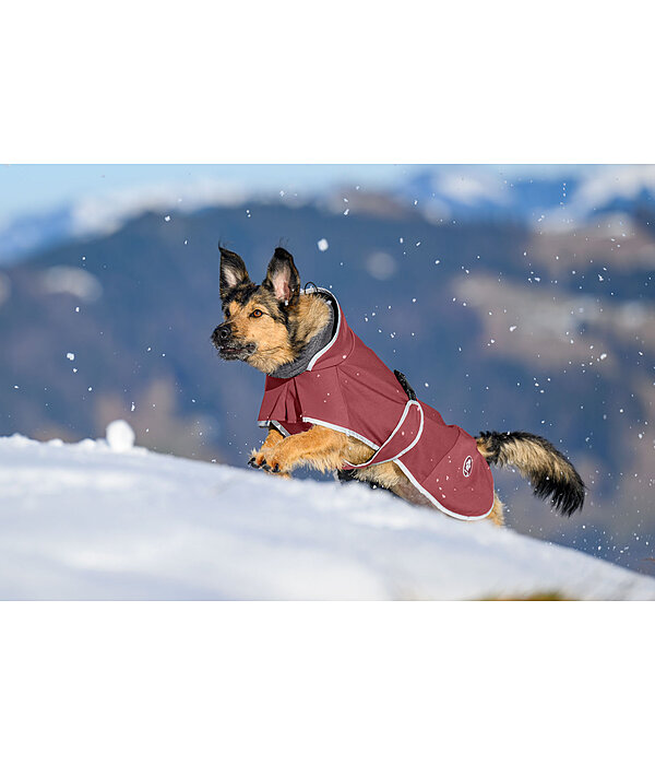 Softshell-Hundemantel mit Fleecekragen Frida