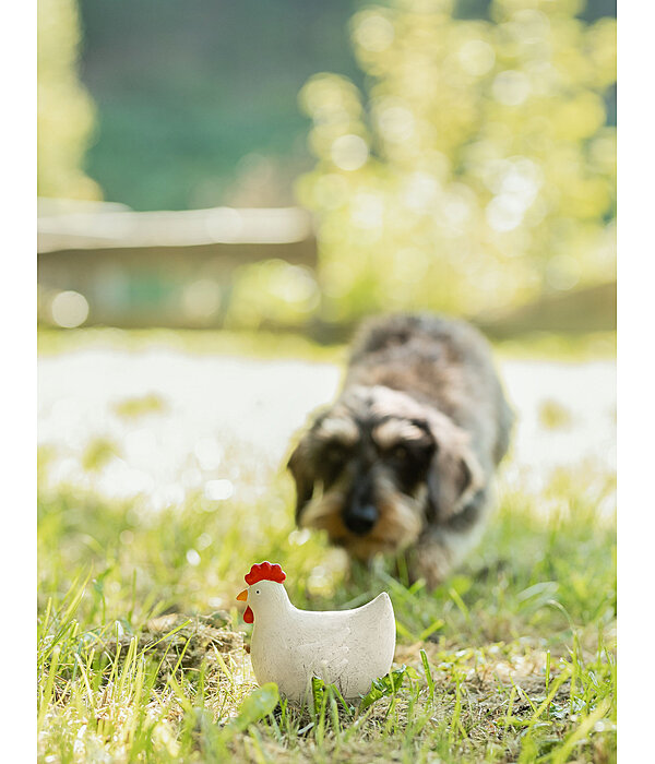 Quietsch-Spielzeug Chicken für Hunde