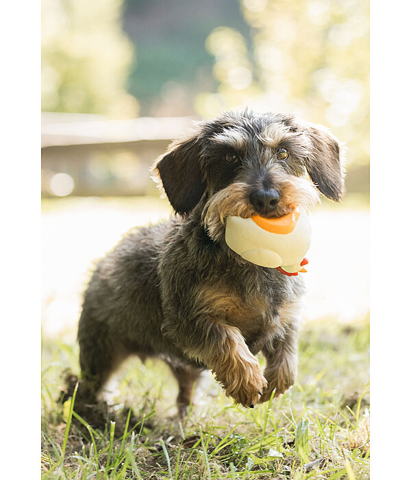 Quietsch-Spielzeug Chicken für Hunde