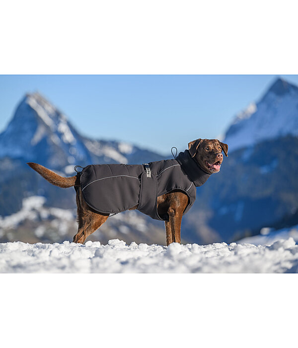 Winter-Hundemantel Marlon, 200-300 g