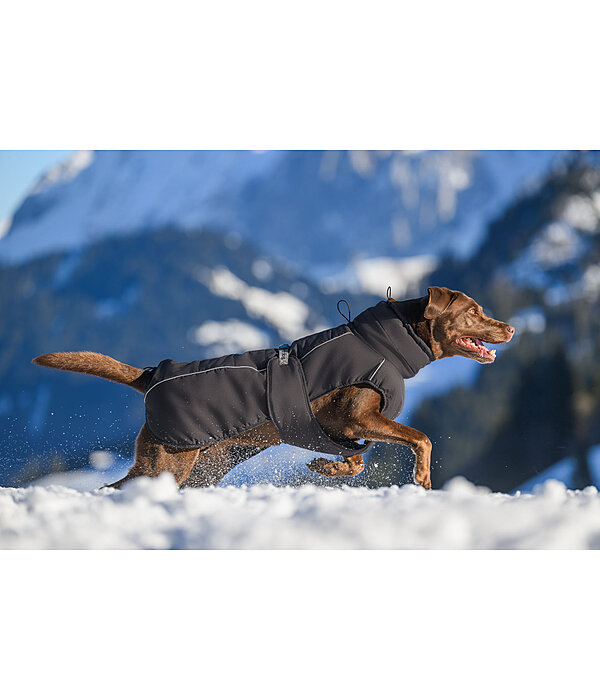 Winter-Hundemantel Marlon, 200-300 g