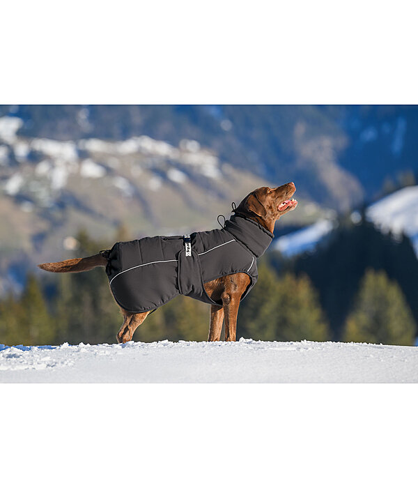 Winter-Hundemantel Marlon, 200-300 g