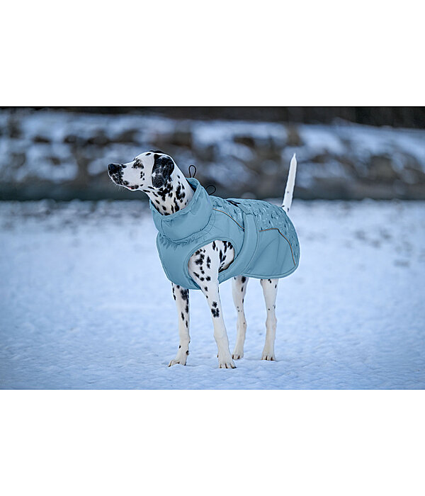 Winter-Hundemantel Wonderland, 140 g