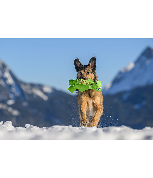 Hundespielzeug Strong Dino