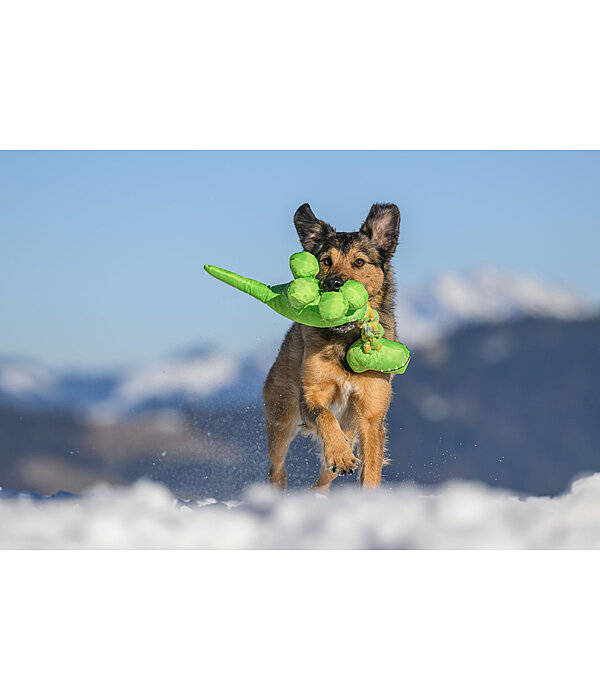 Hundespielzeug Strong Dino