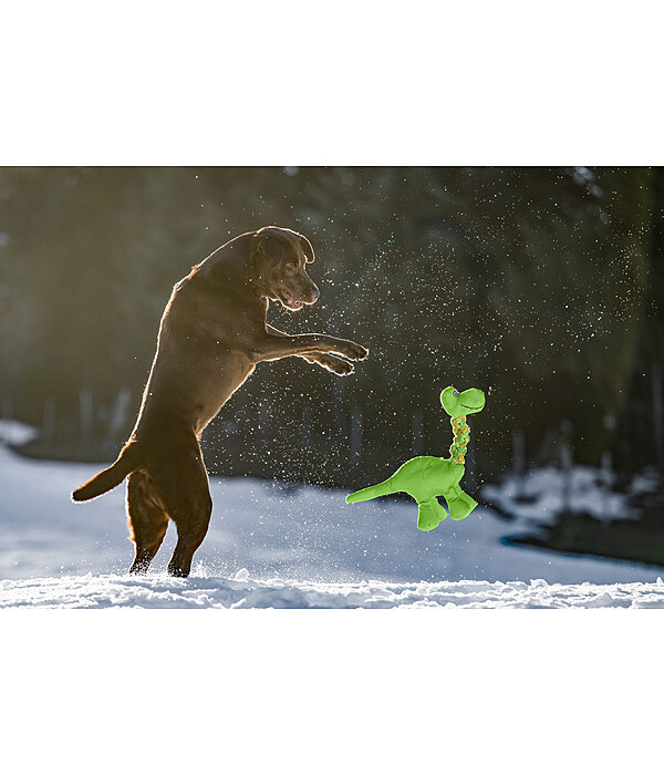 Hundespielzeug Strong Dino